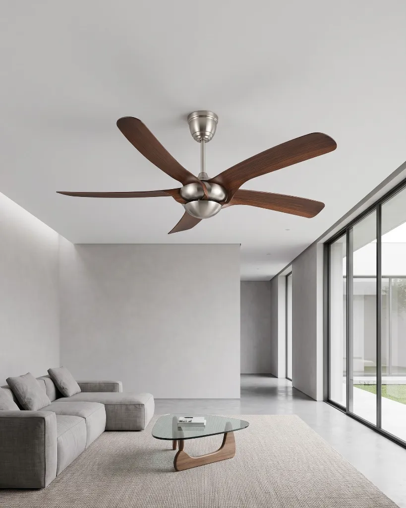 allum-designer-fan.webp