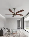 allum-designer-fan.webp