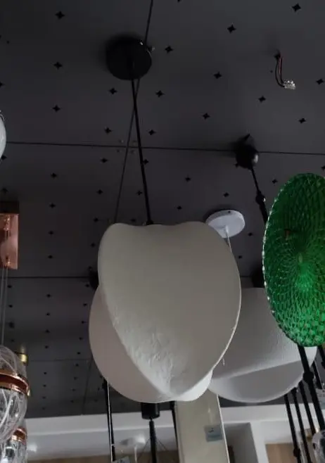 Solaria Pendant Lamp light zone