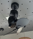 luft-havana-black-fan-light-zone