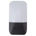 Outdoor Wall Lamp (LLO-079A)