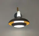 Regal Wall Light