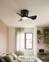 Itsy Mini Designer Fan